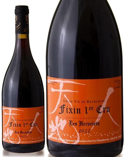 �ե����� �ץ�ߥ� ����� �� ������� �롼���� [ 2022 ]�롼 �ǥ��� ( �֥磻�� )