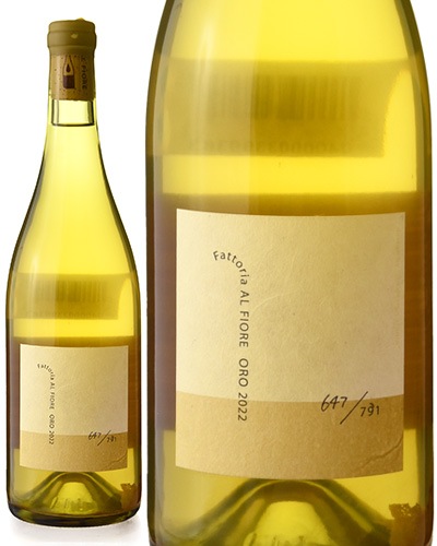 ������ �쥼����� [ 2022 ]�ե��åȥꥢ ���� �ե������� ( ��磻�� ) [S]