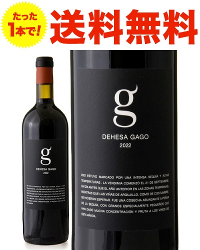 ������̵�����ǥإ� ���� [ 2022 ]�ƥ�� ���ɥꥲ�� ( �֥磻�� ) [S]