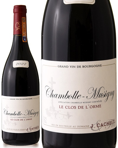 �����ܡ��� �ߥ奸�ˡ� �� ���� �� ����� [ 2022 ]����å� �����塼 �� �ե��� ( �֥磻�� )