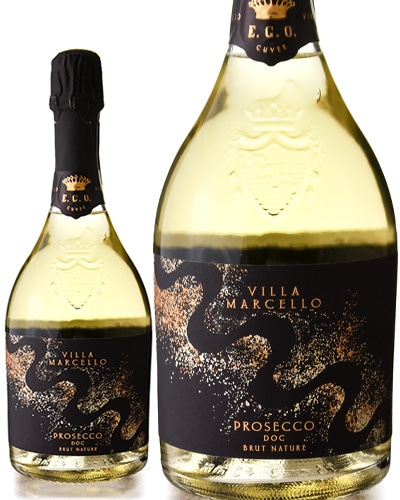 EGO ץå ֥å  [ 2022 ]ޥåĥ å ޥå ( ˢ  ) [S]