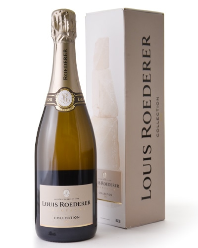 ���� Ȣ���� ���쥯����� 245 NV �륤 ���ǥ졼�� ( ˢ �� )  �����ѥ� �����ѡ��˥� [K]