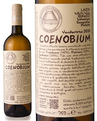 �����Υӥ��� [ 2023 ]��ʥ��ơ��� �ǥ� �����ȥ륭������ ( ��磻�� )