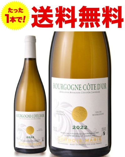 ������̵�����֥르���˥� �֥�� [ 2022 ]�ɥ᡼�� �ǥܥ� �ޥ꡼ ( ��磻�� ) [S]