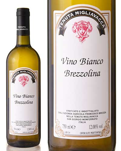 ֥åĥ꡼ [ 2023 ]ե ֥åĥ ( 磻 ) [S]