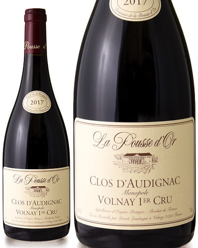 ������ͥ� �ץ�ߥ� ����� ���� �ɡ��ǥ��˥�å� ��Υݡ��� [ 2017 ]�� �ץ� �ɡ��� ( �֥磻�� ) [S]