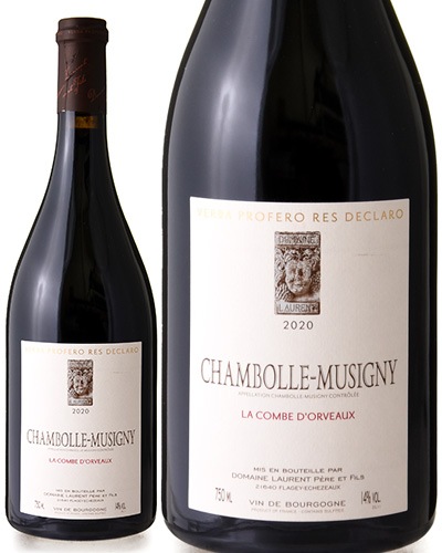 �����ܡ��� �ߥ奸�ˡ� ����� �ɥ���� [ 2020 ]�ɥ᡼�� ������� �ڡ��� �� �ե��� ( �֥磻�� )