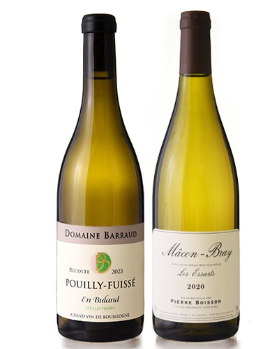 �������1���åȸ¤� �Х����Υե�å����åס����� �ӥ��� [ 2023 ]�����ܳ��ԥ����� �ܥ諒��2�ܥ��å� ( ��磻�� )