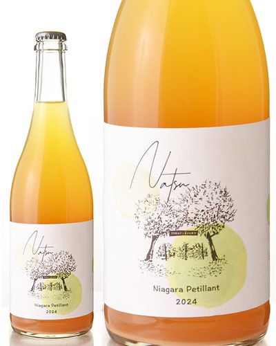 Nastuʥ ڥƥ [ 2024 ] ȥޥå ե ( ˢ  ) [S]