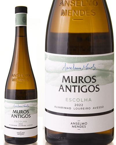  ƥ  [ 2022 ]󥻥 ǥ ( 磻 )