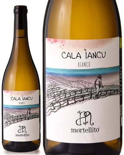 ӥ 饤 [ 2024 ] ƥå꡼ ( 磻 ) [S]