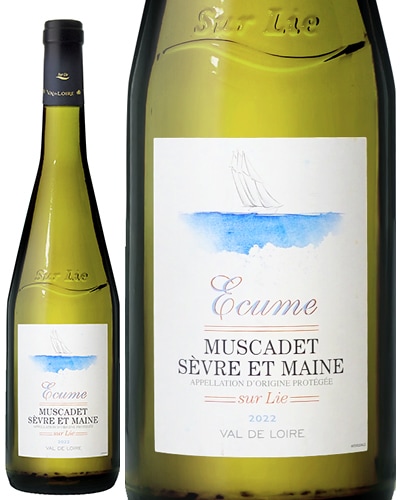 �ߥ她���� �������� �� �᡼�� ���塼 �� �꡼ �����塼�� [ 2022 ] ( ��磻�� ) 