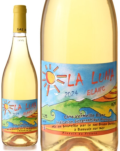   ֥  [ 2024 ] ֥ ǥ奷 ( 磻 )