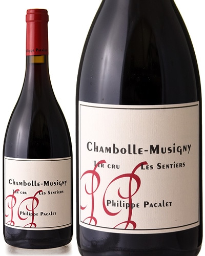 ܡ ߥ奸ˡ  ƥ ץߥ   [ 2023 ] եå ѥ ( ֥磻 )