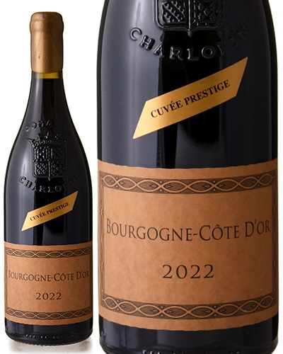 ֥르˥  ɡ 롼 [ 2022 ]ɥ᡼ եå ѥ ( ֥磻 )