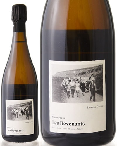 �� ����ʥ� �֥��å� �ʥ��塼��NV���ƥ������ ���륵�å� ( ˢ �� ) �����ѥ� �����ѡ��˥� [S]