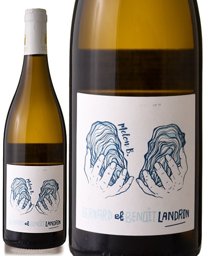 B  [ 2023 ]ɥ᡼ ɥ ƥ ( 磻 ) [J]