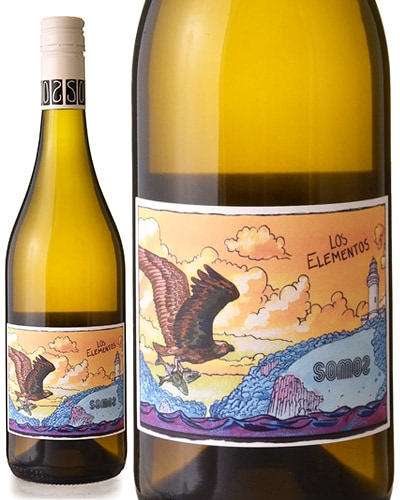 ���� ������ȥ� [ 2025 ]���⥹( ����� )