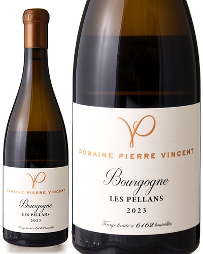 �֥르���˥� �� �ڥ�� [ 2023 ]�ɥ᡼�� �ԥ����� �����󥵥� ( ��磻�� ) [S]