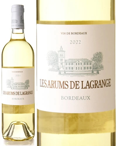 �� ����� �� �饰��󥸥� [ 2022 ] ( ��磻�� ) [S]