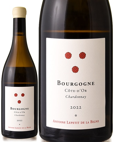 �֥르���˥� ������ �ɡ��� �֥�� [ 2022 ]����ȥ�� ��ץƥ� �� �� �ӡ��˥� ( ��磻�� ) [S]