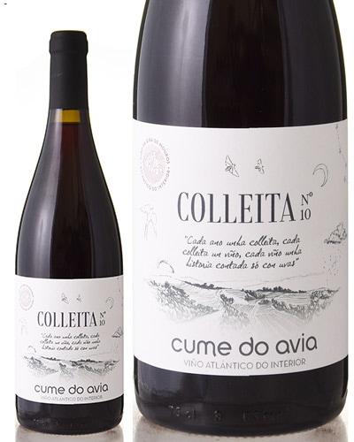 ���쥤���ƥ����10 [ 2022 ]���� �� �������� ( �֥磻�� ) 