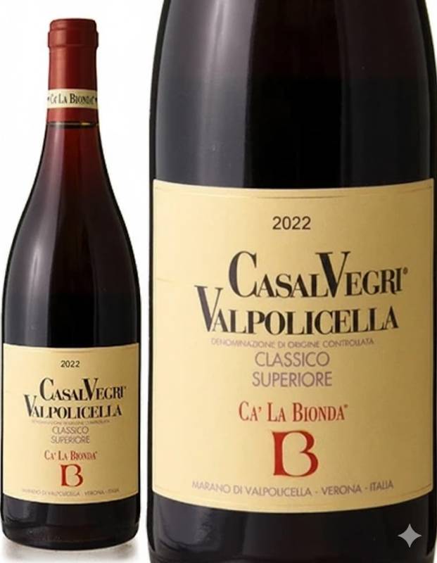 ������ݥ�����å� ���饷�� ���ڥꥪ���� ����������å� [ 2022 ]�� �� �ӥ���� ( �֥磻�� )[J]