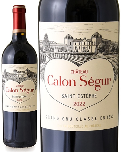 ����ȡ������󥻥��塼�� [ 2022 ] ( �֥磻�� )