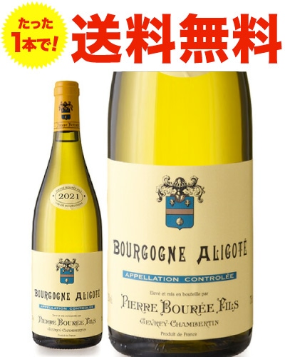 ������̵�����֥르���˥� ���ꥴ��  [ 2021 ] �ԥ����� �֥� ( ��磻�� ) [S]