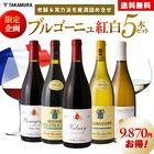 ����̵�� ����Ū�͵��֥르���˥�����ʡ�Ϸ�ޡ������ɤ����ͤ��碌 �֥르���˥����5�ܥ��å�(�ɲ�7����Ʊ����) 