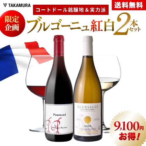 �֥르���˥����2�ܥ��å�