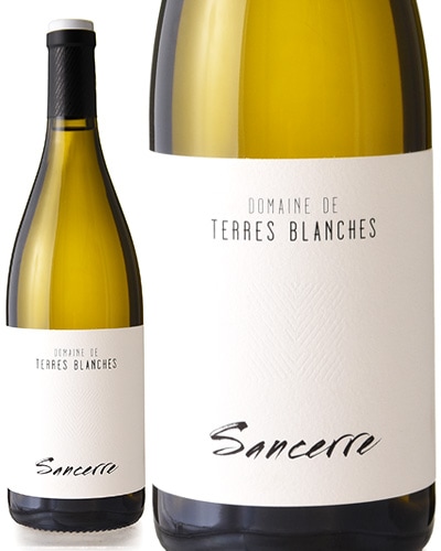 ���󥻡��� [ 2023 ]�ơ��� �֥�󥷥� ( ��磻�� )