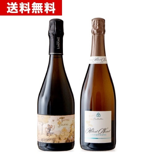 ����̵�� �� �ơ��� ���硼��NV������ꥢ�� ��᡼��(���١��� 2022ǯ������ơ���)���������᥷���ѡ��˥��2�ܥ��å�( ˢ�� 2 )���������1���åȸ¤� �����ѥ� �����ѡ��˥� [S]