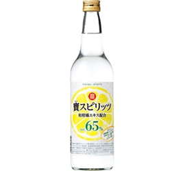 寶スピリッツ　600ml 12本　1ケース 寶スピリッツ 600ml 12本 1ケース Amazon.co.jp