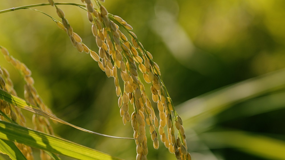 100ܴ䤤ޤ۾¢ڡסڥء