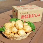 ĹĮûڤ㤬(10kg)ML 쥬省