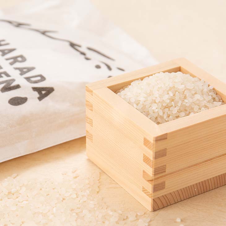 �ҤΤҤ��� 2kg��2�� ������Ź