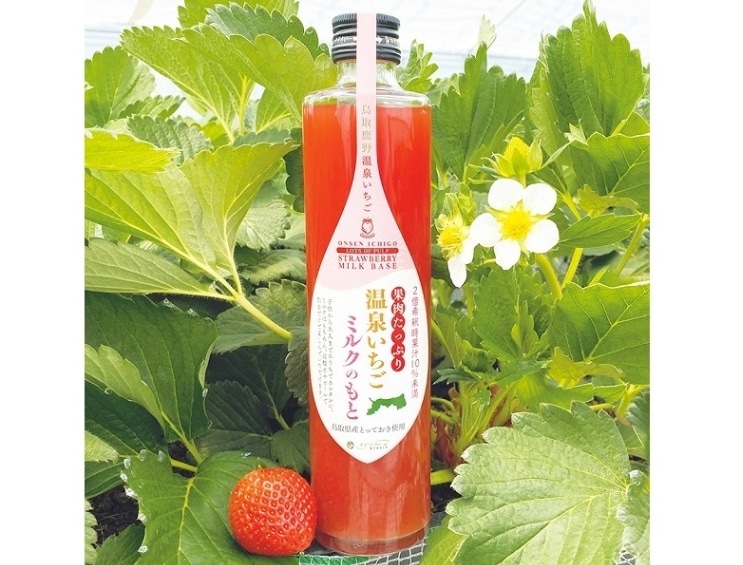 果肉たっぷり　温泉いちごミルクのもと　370ml