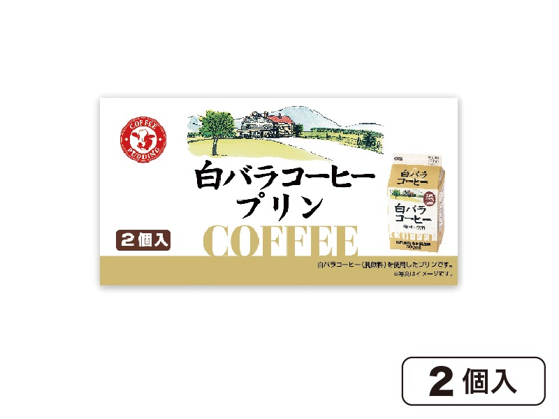 ��Х饳���ҡ��ץ��