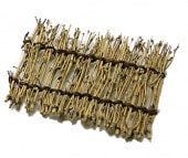 ����ȵ����11��11cm