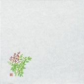 �ں߸˸¤�������������4������ŷ�ˡ�100��