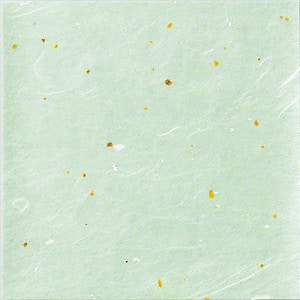 NEW�޿����񡡡ʼ���ˡ�100��