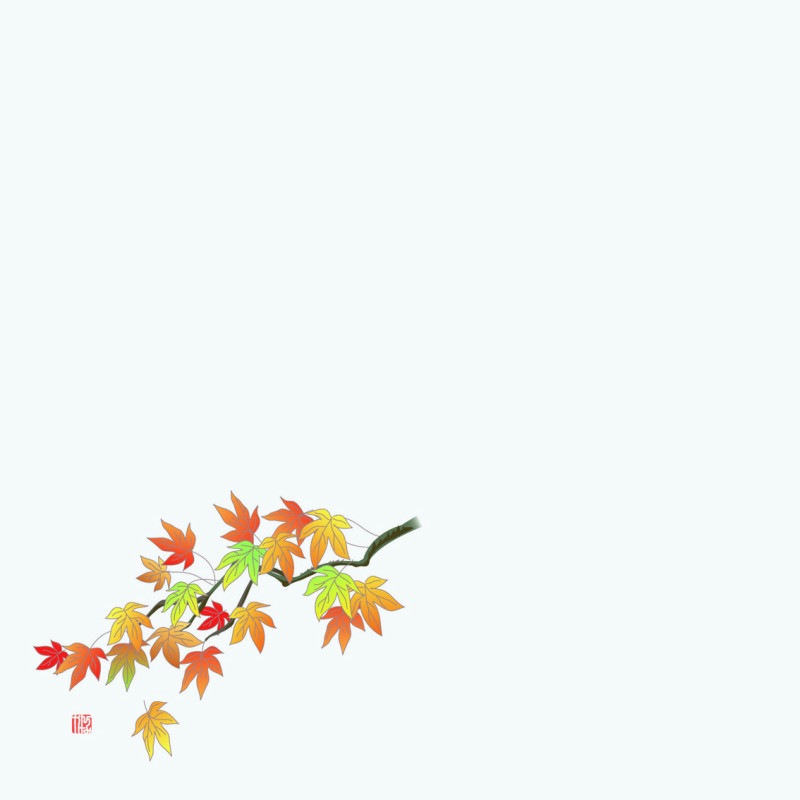 ����ŷ�桡�͵���5�������ա�100��