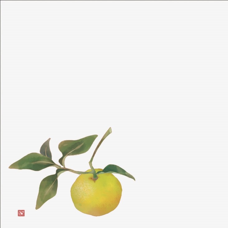 ����ŷ�桡�͵���5�����椺��100��