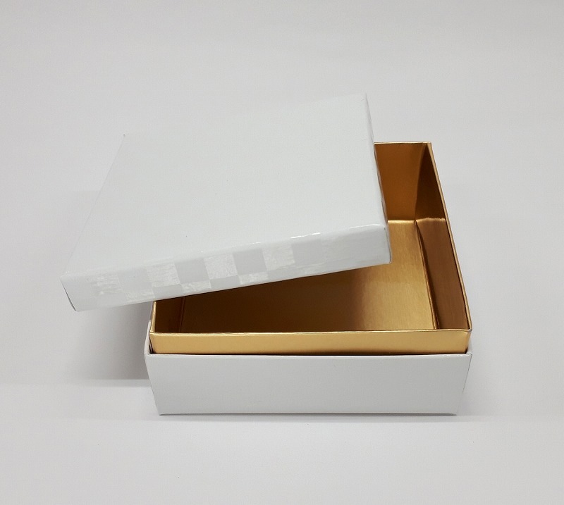 KAMI-CASE�����⡼�롡�Ծ���