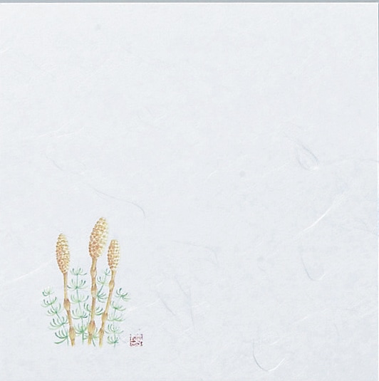 ������ߣ������Ĥ�����100��