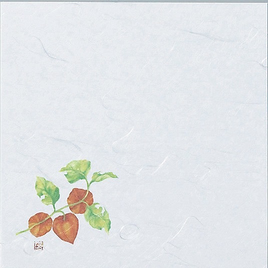 �ں߸˸¤�۵�����ߣ������ۤ�������100��