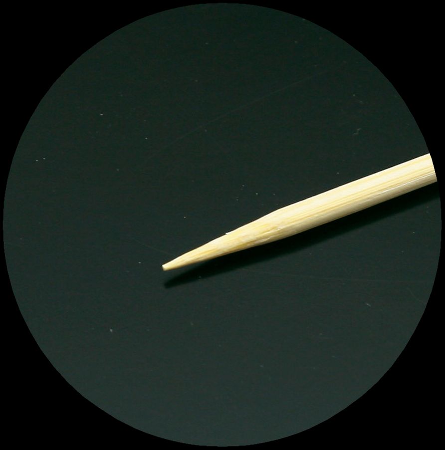 �С��٥��塼����27cm��50����