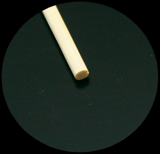 �С��٥��塼����24cm��50����