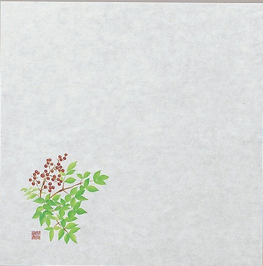 �ں߸˸¤�������������5������ŷ�ˡ�100��